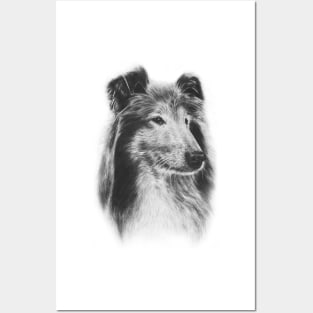 Rough Collie Dog Posters and Art